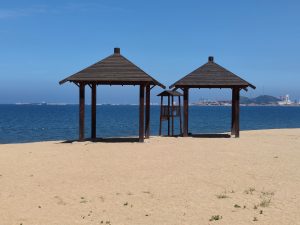 公司股权律师：小股东可通过股东知情权保护自身合法权益