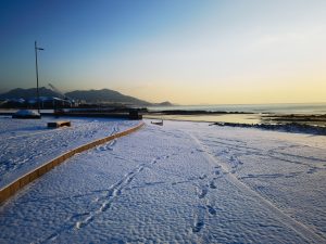 公司律师：票据关系和基础法律关系如何选择？